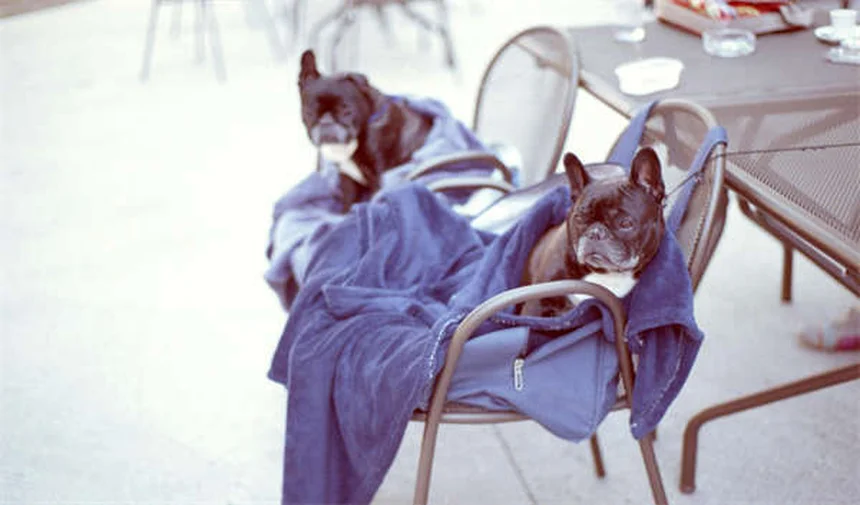 How Delaying Type 2 Diabetes for 4+ Years Saves Lives