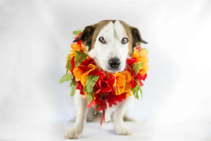 Weight Loss & Exercise Cut Heart Attack Risk 61% for Type 2 Diabetes